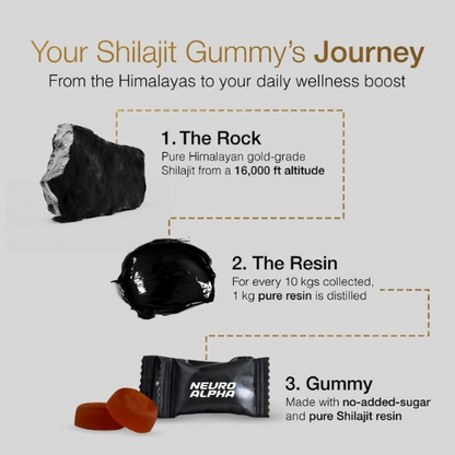 Neuro Alpha - Pure Himalayan Shilajit Gold Gummies